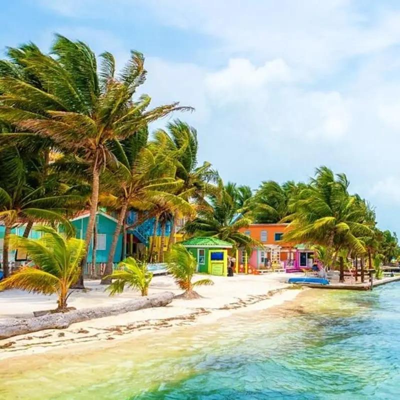 Cover image of belize