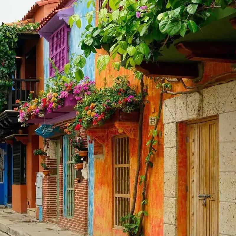 Cover image of colombia