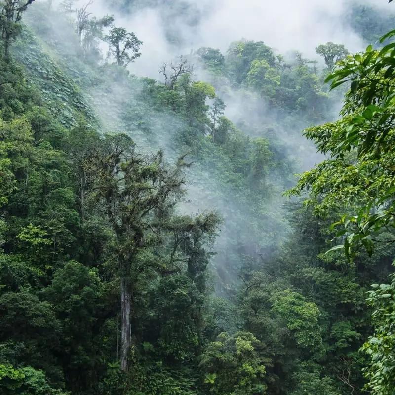 Cover image of costa rica