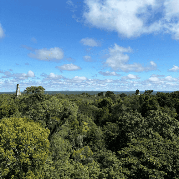 The classic 'Star Wars' shot at Tikal
