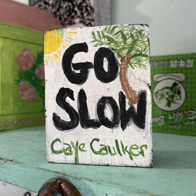 Sign that reads "Go Slow"