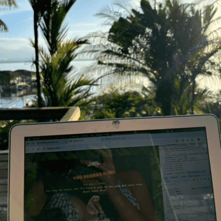 Laptop pictured with blue skies, waters and luscious plants in the background