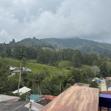 A desk with a view of greenery and misty mountains
