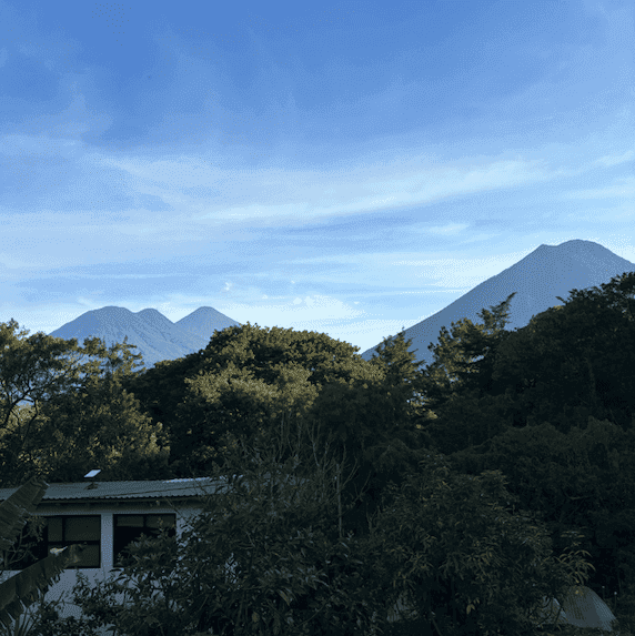 Image of foliage and volcanoes in the background
