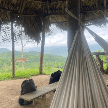 A hammock with a view