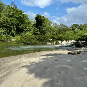 A small beach and river at La Ponderosa